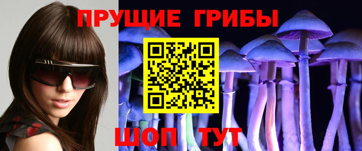 Галлюциногенные грибы мицелий  Псилоцибиновые грибы MAGIC MUSHROOMS  наркота  Вход с VPN  Кашира 